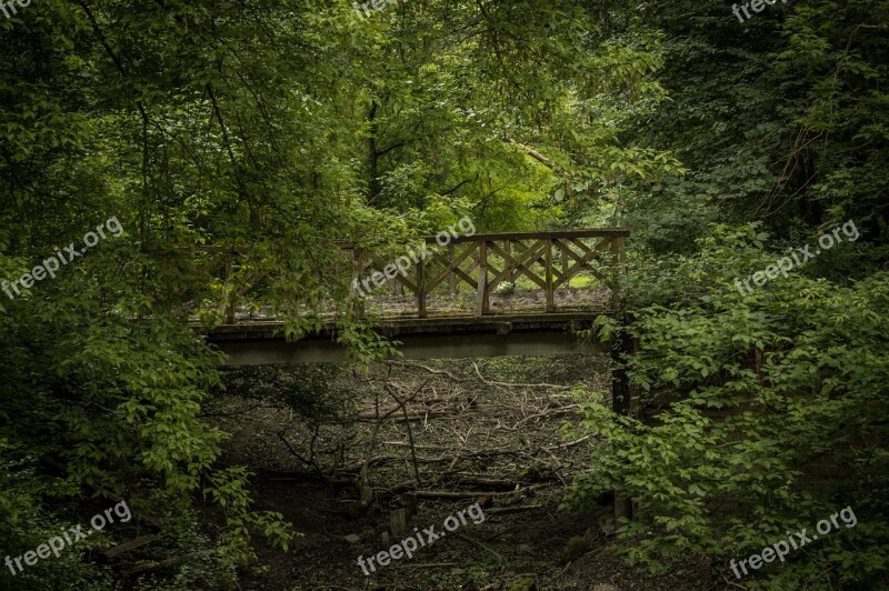 Bridge Railway Forest Landscape Construction