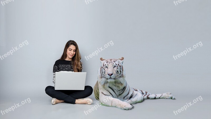 The Computer Tiger Bengal Lady Do The Job