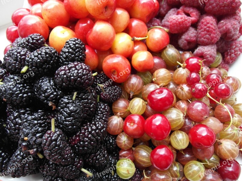 Fruit Raspberries Mulberry Free Photos