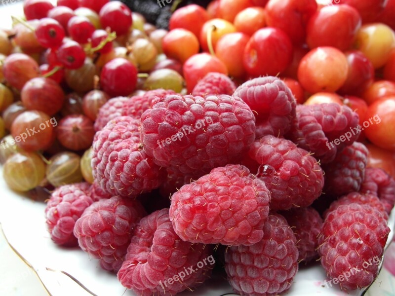 Fruit Raspberries Mulberry Free Photos