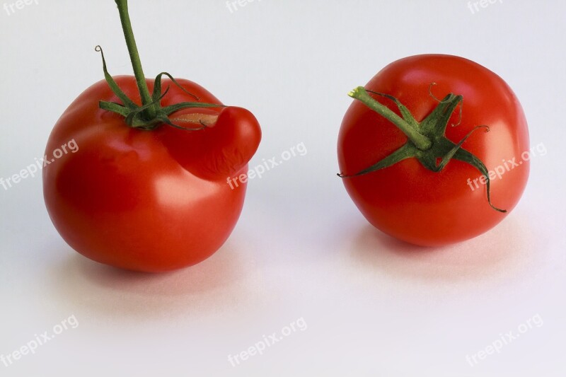 Tomato Red Vegetables Nachtschattengewächs Food