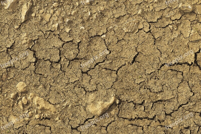 Dry Ground Cracks Drought Cracked