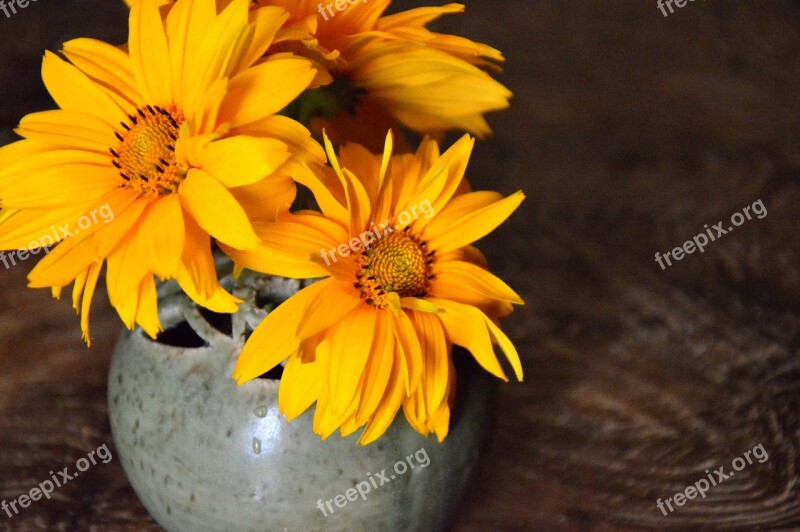 Decoration Vase Flower Vase Flowers Coneflower