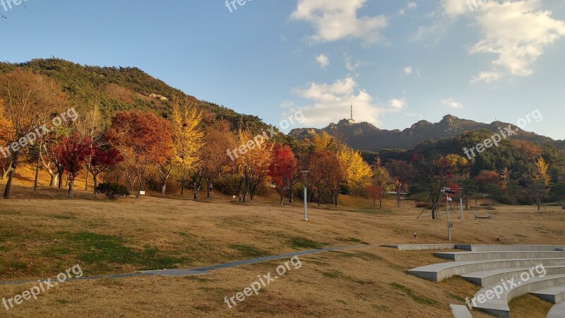 Seoul Autumn Willow Country Autumn Leaves Park