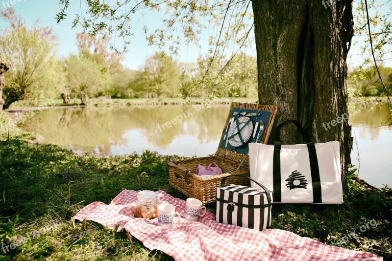 Picnic Outing Nature Lunch Box Sandwich