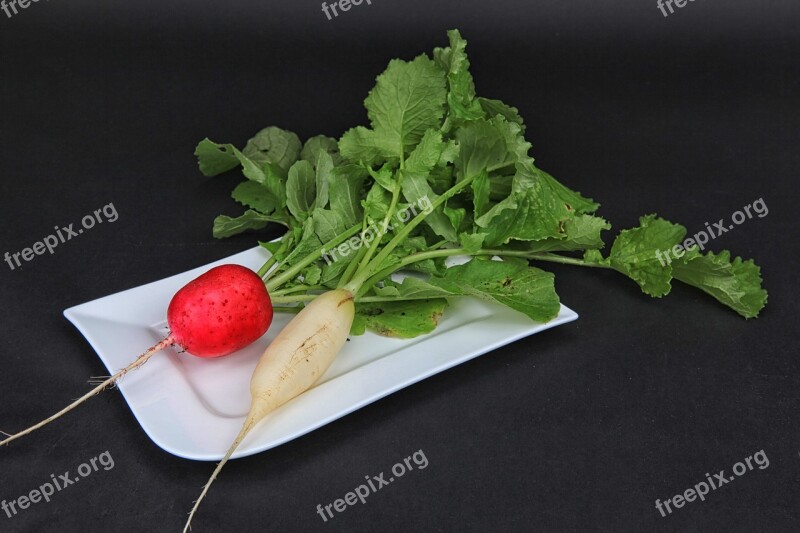 Radishes Harvest Vegetables Salad Radish