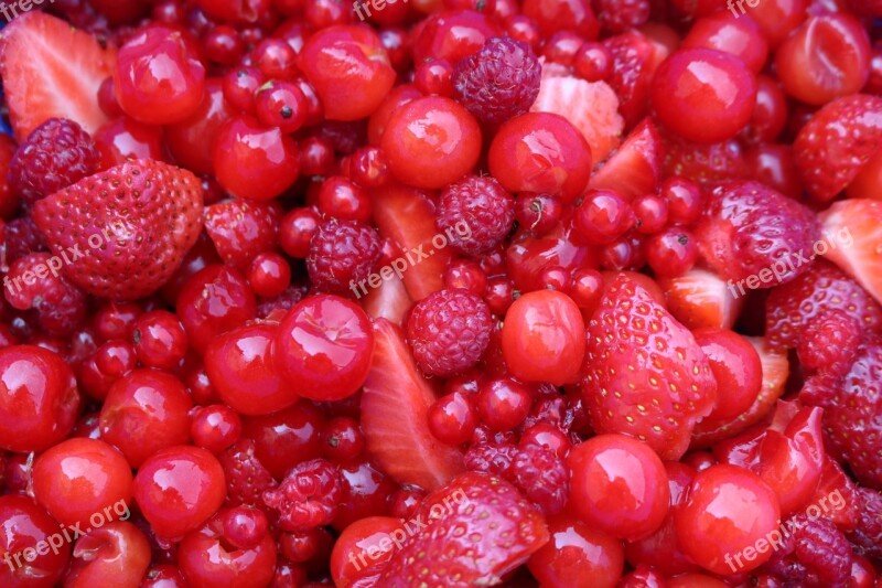 Berries Red Summer Berry Red Nature