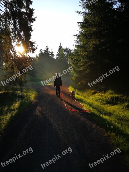 Vacations Relaxation Go For A Walk Hiking Forest