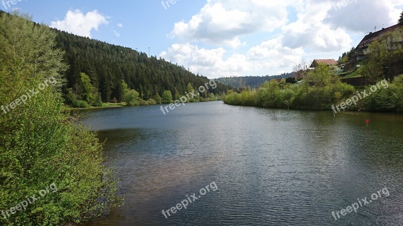 Black Forest Nature Lake Free Photos