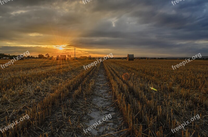 Sunset Field Sunlight Nature Light