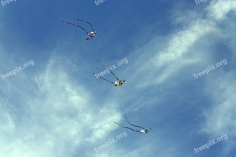 Kites Sky Wind Free Photos