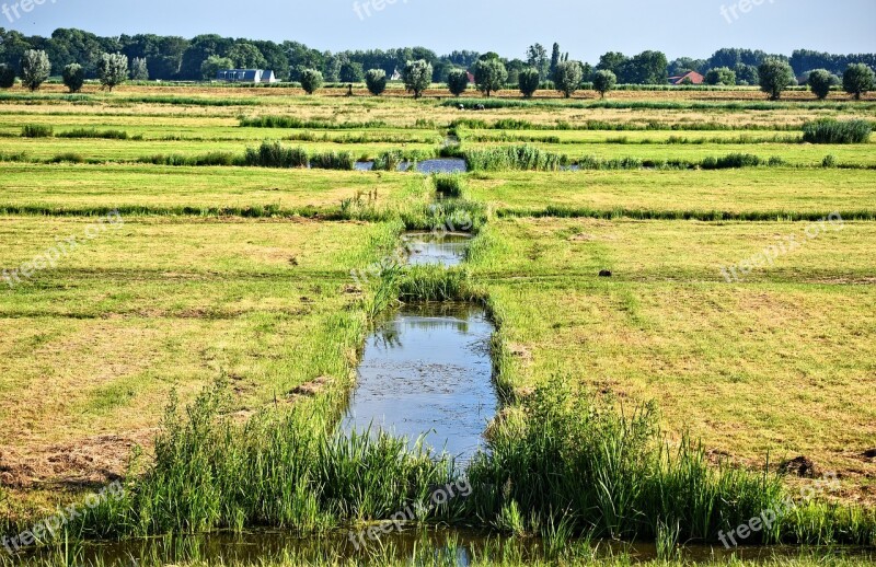 Meadow Ditch Skyline Dutch Landscape Polder