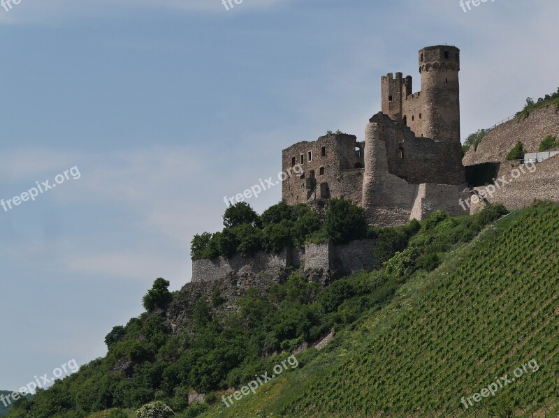 Castle Ehrenfels Rhine Vineyard Bingen