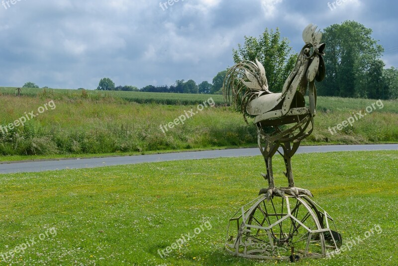 France Cock Sky Mascot Lawn