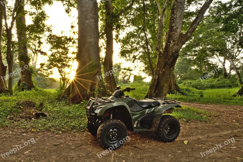 Woods Atv Forest Quad Green