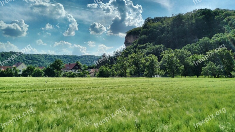 Sörnewitz Boselfelsen Cornfield Summer Clouds