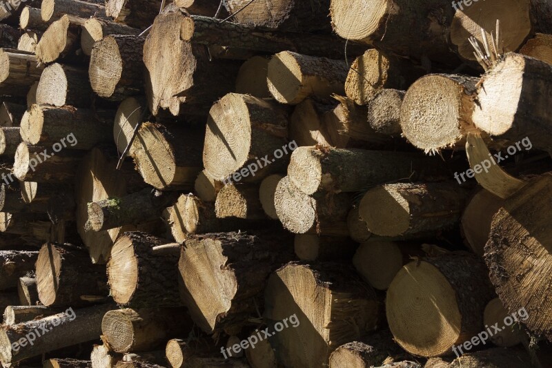 Log Pile Logs Wood Wood Pile Texture