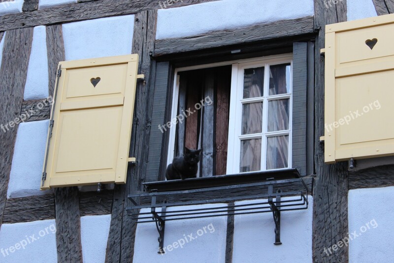 Window Black Cat Fachwerkhaus Shutters Free Photos