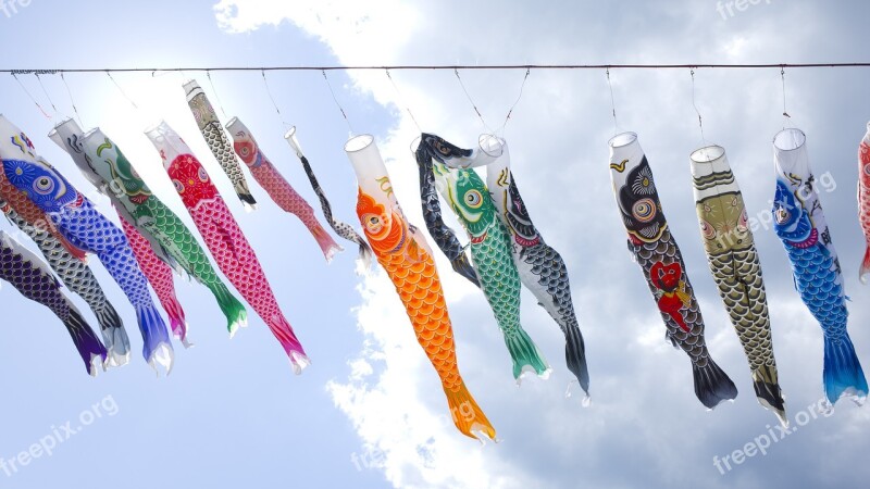 Sky Carp Japan Fish Vivid