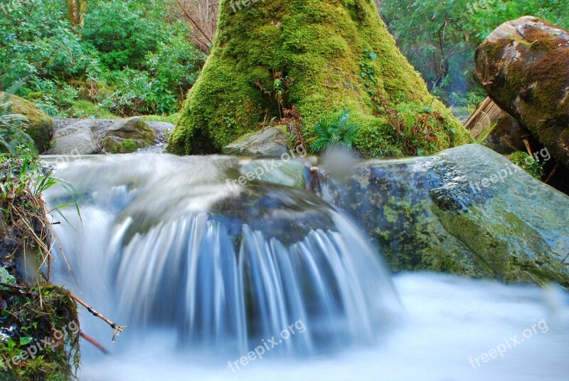 Waterfall Forest Bach River Waterfalls