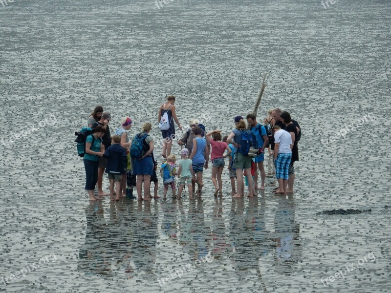 Watts Mudflat Hiking Büsum Wadden Sea North Sea