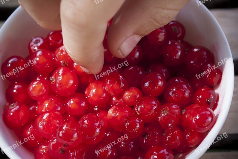 Currants Fruits Red Ripe Berries