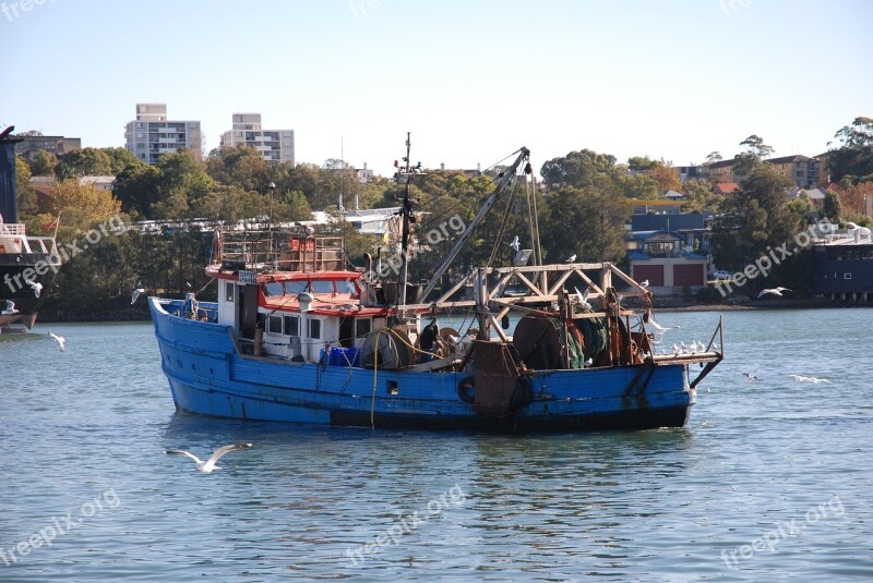 Ship Port The Fisherman Fish Sea Fishing