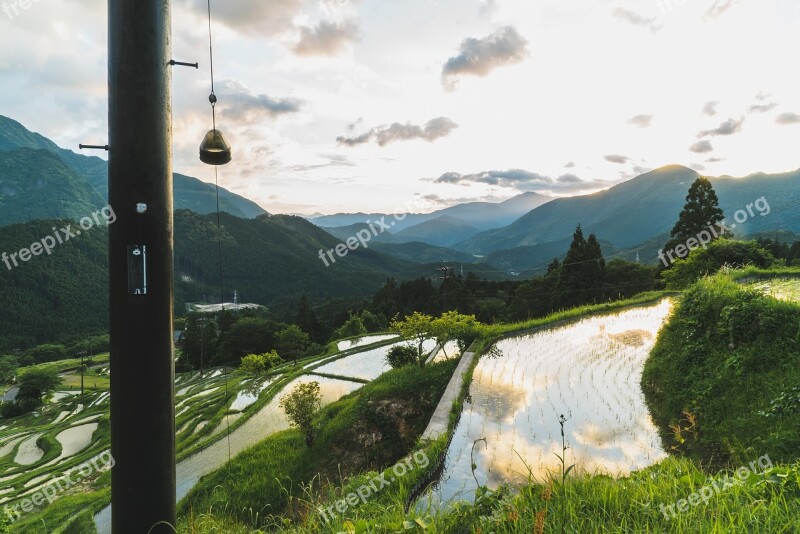 Maruyama Senmaida Japan Rice Kumano