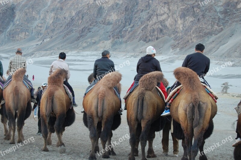 Hunder Ladakh Nubra Vally Valley