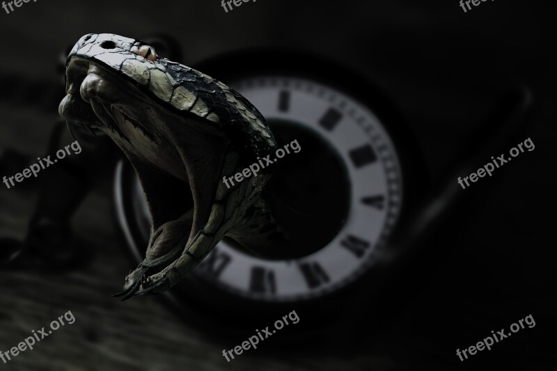 Snake Clock Black Venom Dark