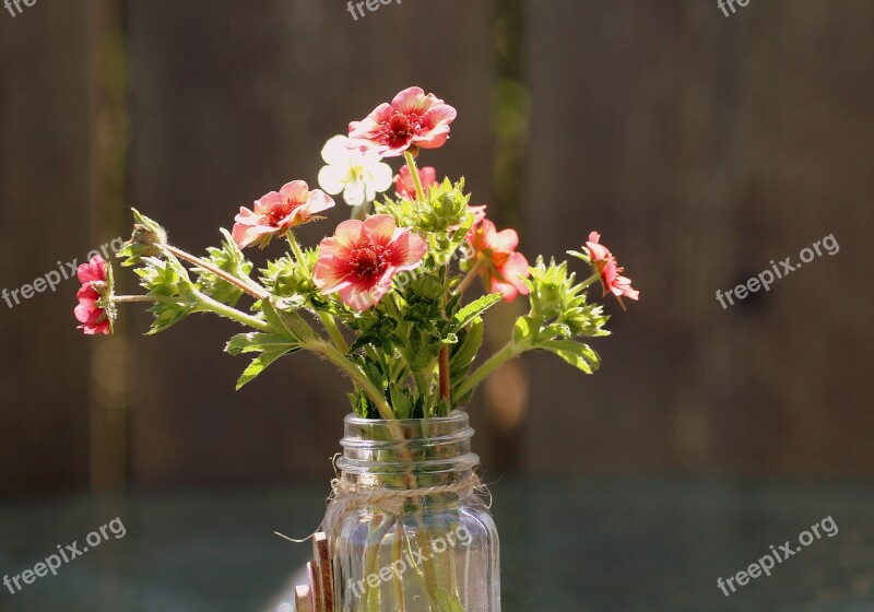 A Small Bunch Garden Flowers Vase The Delicacy Spring