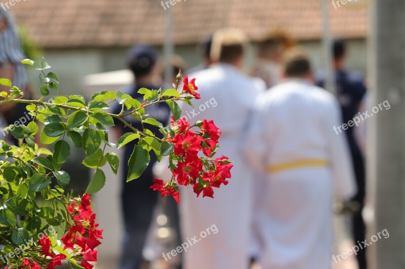 Corpus Christi Feast Little Red Roses Altar Servers Procession Tradition