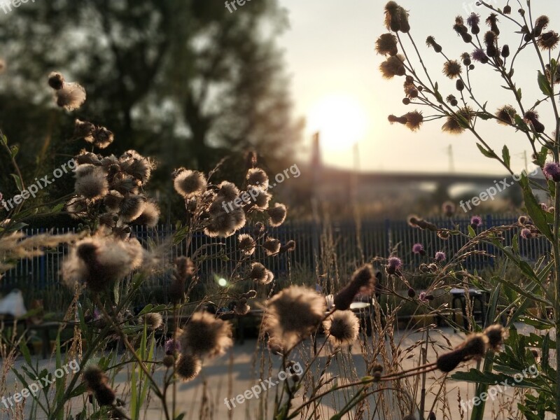 Twilight Hay At Dusk Free Photos