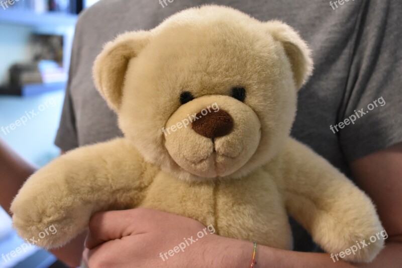 Teddy Teddy Bear Toy Plush Bear