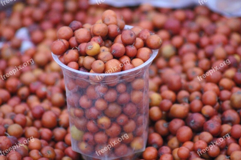 Jujube Fruit Food Organic Ripe