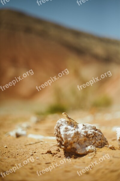 Visitalmaty Almaty Canyon Kazakhstan Mountains