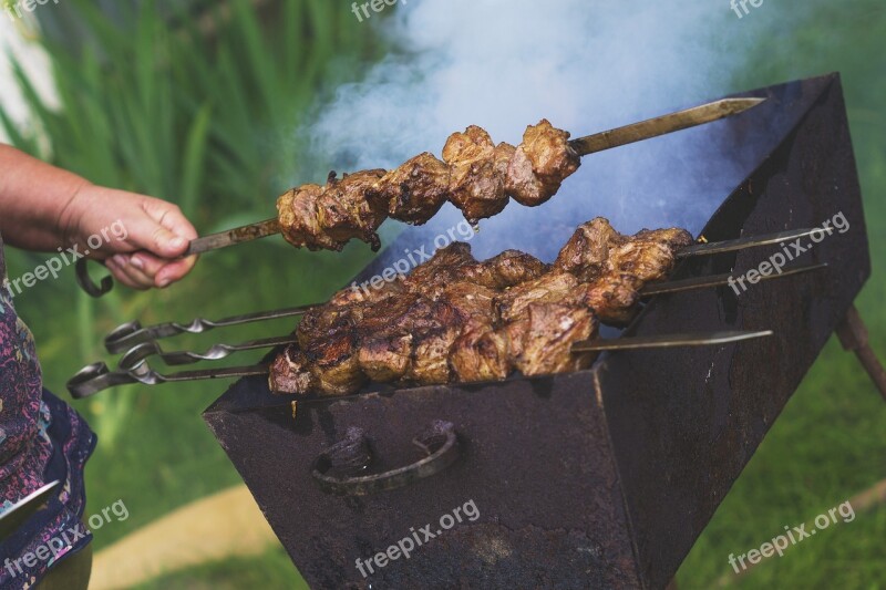 Shish Kebab Vacation Tasty Mangal Picnic