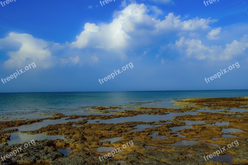 Beach Coast Sea Horizon Nature