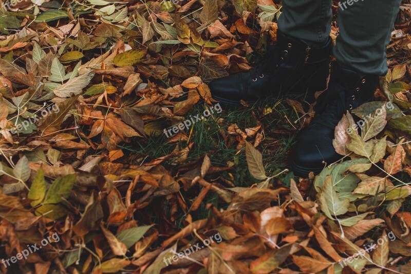 Shoes Autumn Autumn Nature Golden Autumn Autumn Colors