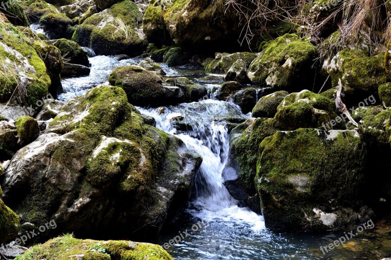 River Landscape Water Stream Nature