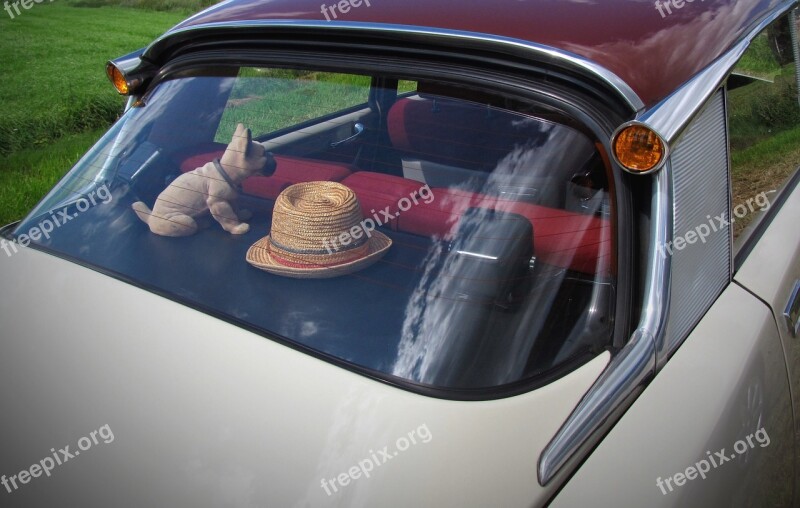 Citroën Ds Parcel Shelf Nodding Dog Back Window Decks