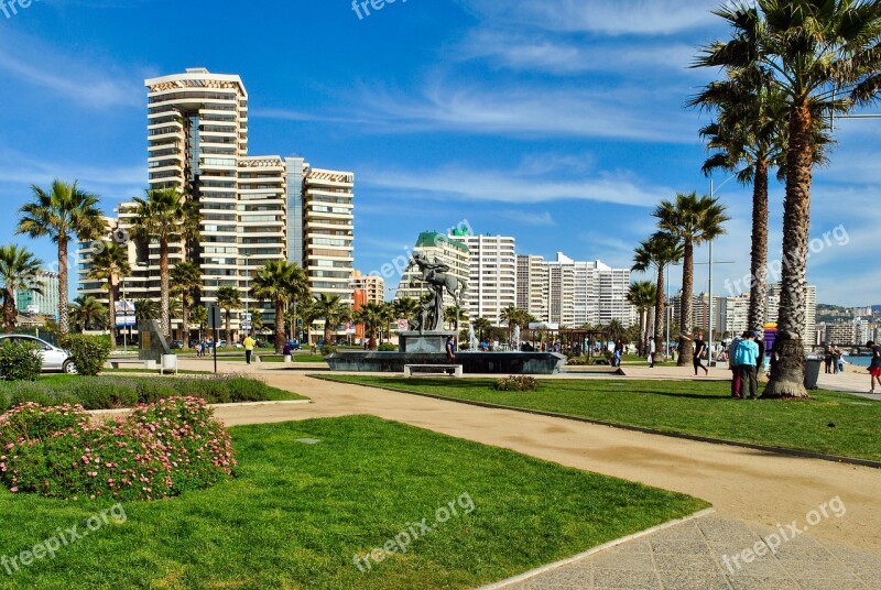 Viña Del Mar Chile Beach Free Photos