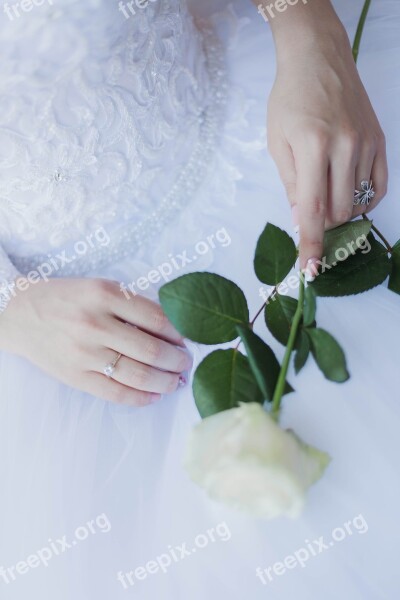 Bride Flowers Wedding Beauty Bridal Bouquet