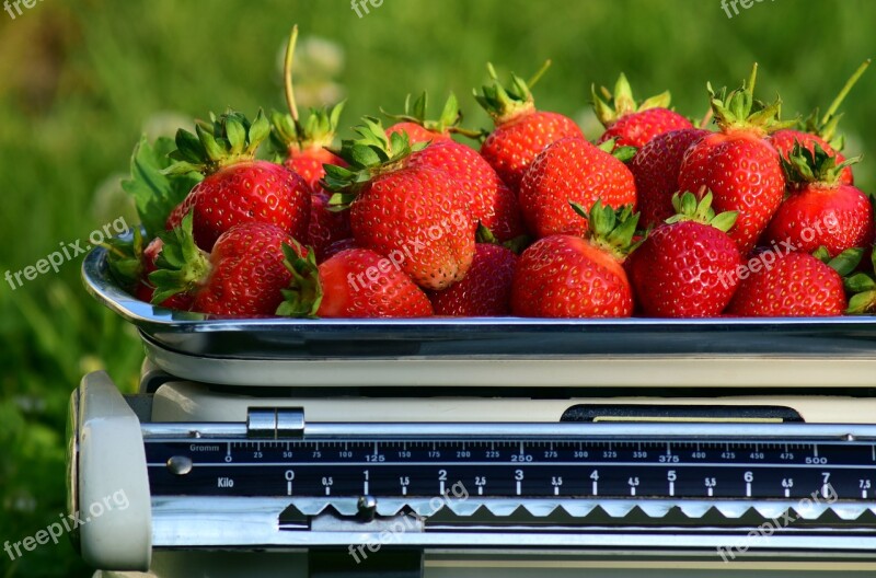 Horizontal Strawberries Weigh Weight Fresh