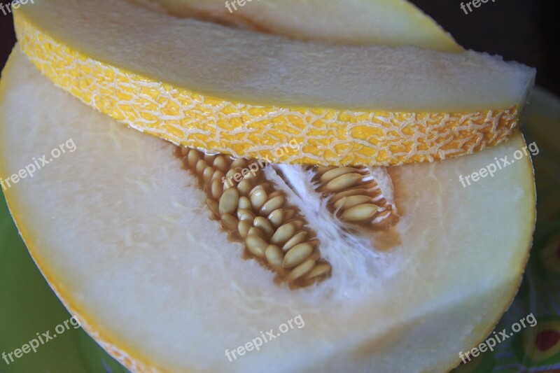 Melon Lobule Incision Large Bright