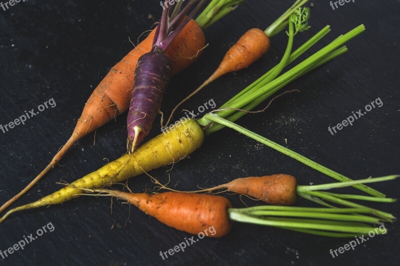 Carrot Organic Food Fresh Natural