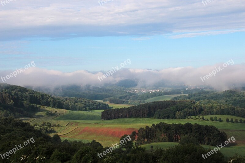 Landscape Fog Forest Haze Nature