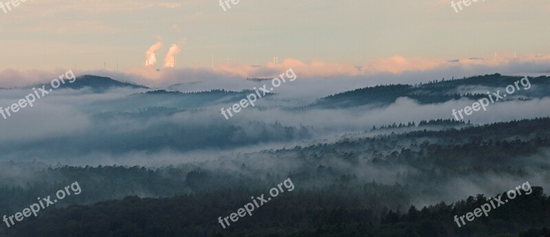 Vision Fog Haze Forest Landscape