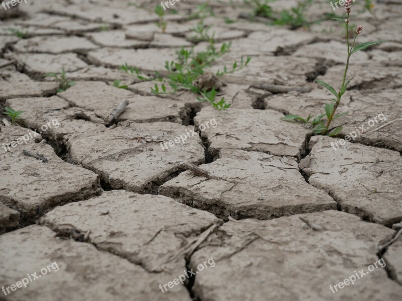 Earth Cracked Clay Soil Dehydrated Drought