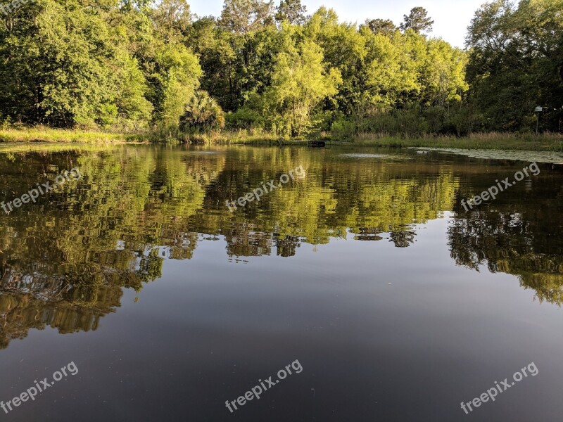 Ripples Pond Reflection Nature Outdoors